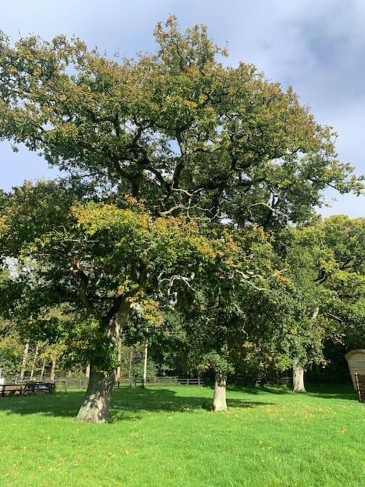 Graffham Aspen Leaves: The Perfect Farm Retreatヴィラ エクステリア 写真