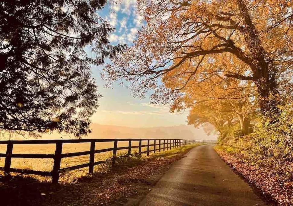 Graffham Aspen Leaves: The Perfect Farm Retreatヴィラ エクステリア 写真