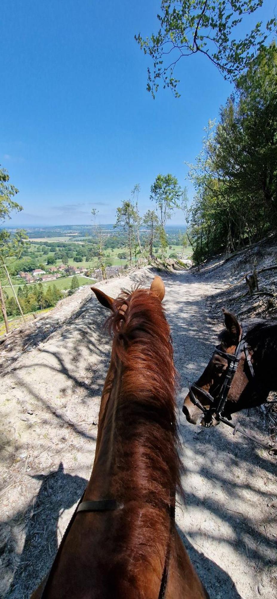Graffham Aspen Leaves: The Perfect Farm Retreatヴィラ エクステリア 写真