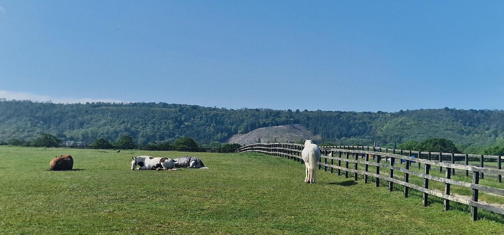 Graffham Aspen Leaves: The Perfect Farm Retreatヴィラ エクステリア 写真